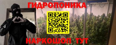 ПСИЛОЦИБИНОВЫЕ ГРИБЫ Бузулук