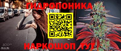 стаф Бугуруслан