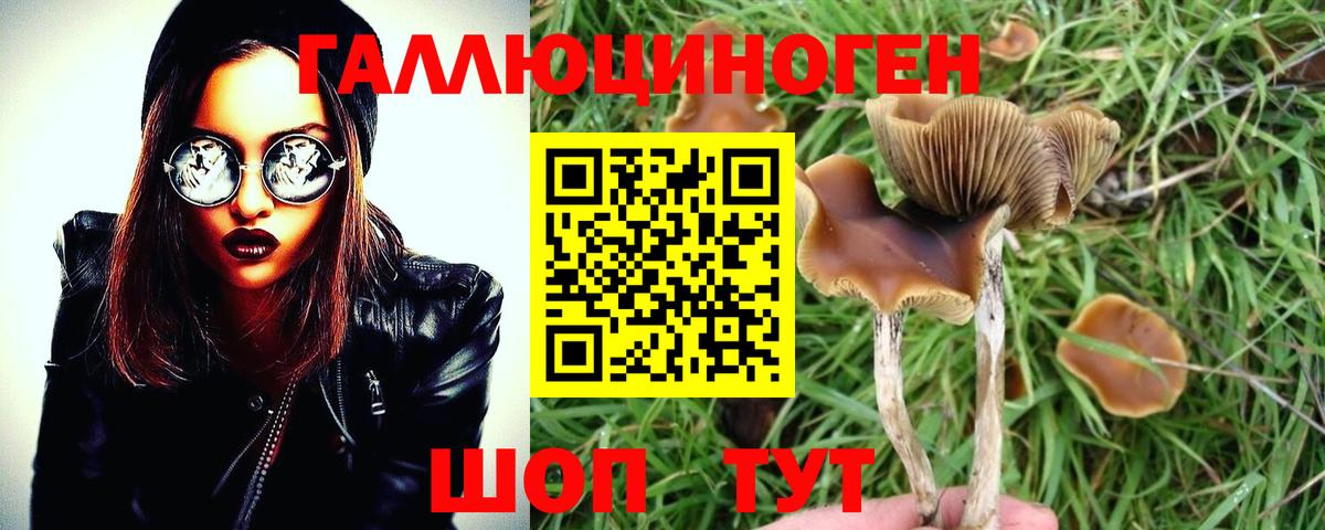 Галлюциногенные грибы мицелий  Вход с VPN  Михайловка 