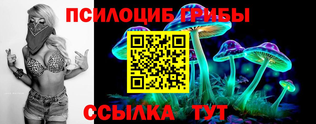 Псилоцибиновые грибы ЛСД Михайловка